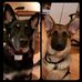 Betsy Koch Kehoe - Facebook