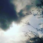 sol cisneros - @betsy_kim_saviela - Instagram