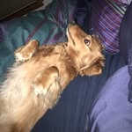 Betsy Kraft - @betsyliberman - Instagram