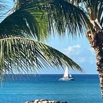 Betsy Kraft - @bkrafty58 - Instagram