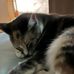 Betsy Kyle - Facebook