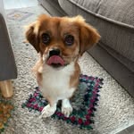 Betsy - @betsylongbod - Instagram
