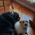 Betsy Long - @betsylong10 - Instagram
