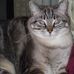 Betsy Milner Long - Facebook