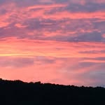 Betsy Lyman Bascom - @mlbascom - Instagram