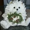 Betsy Mares - @betsy.mares - TikTok