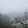 Betsy Maria Mathews - @betsy.maria - TikTok
