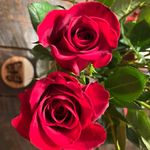 Betsy Dunn Montgomery - @montrich7 - Instagram