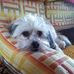 Betsy Morris - Facebook