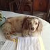 Betsy Morris - Facebook