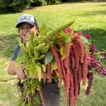 Betsy Morris - @betsymorris - Instagram