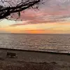 betsyduntonmorris - @betsyduntonmorris - TikTok