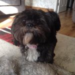 Betsy Morrison - @betsy.booboo - Instagram