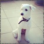 Betsy Morrison - @gastonwronaxzq - Instagram