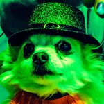 Betsy Murphy - @profmurphy - Instagram