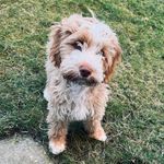 Betsy Murphy - @the_betsy_days - Instagram
