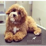 Betsy O’Brien - @the_betsy_chronicles - Instagram