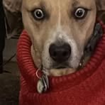 Betsy O'Connor - Facebook