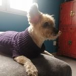 Betsy Vasquez Ojeda - @fretsy01 - Instagram