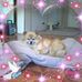 Betty Parham - Facebook