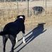 Betsy Caughlin Donnelly Park - Facebook