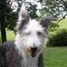 Betsy Park - Facebook