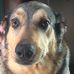 Betsy Parker - Facebook