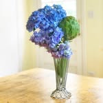 Betsy Patrick - @artichokesandhydrangeas - Instagram