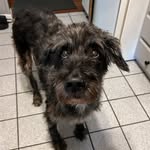 Betsy Patterson - @betsdellpatanddoo11 - Instagram