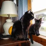 Betsy Patterson - Facebook