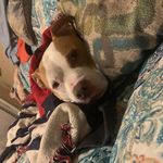 Brayden Perdue - @betsyperdue2019 - Instagram