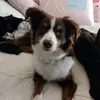 Betsy - @piper4evr - TikTok