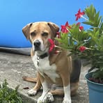 Betty Piper - Facebook