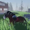 𝙱𝚎𝚝𝚜𝚢-𝚁𝚊𝚎 🐴 - @betsyrae4 - TikTok