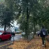 betsyrae1234 - @betsyrae1234 - TikTok