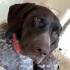 betsyrandolph - @betsyrandolph - TikTok