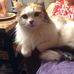 Betsy Ann Rapp - Facebook