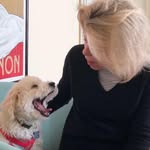 Betsy Morrow Rather - @betsy_rather_ - Instagram