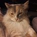 Betty Raymond - Facebook