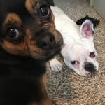 Betsy & Reesey - @betsy_reesey - Instagram