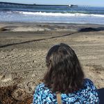 Betsy Rich - @forestwerk - Instagram