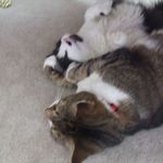 Betsy Ritchie - @betsy.ritchie.79 - Instagram