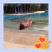 Betsy Rivero Rivero - Facebook