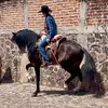 Betsy Cobian Robles - @betsy_ccr - TikTok