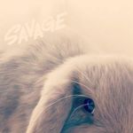 Betsy Robles - @betsyrobles5956 - Instagram