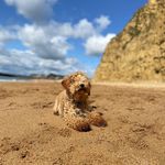 Betsy Rose - @betsy_rose.x - Instagram
