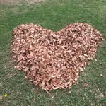 Betsy Rouse - @knitter.lisamarie - Instagram