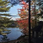 Betsy Rowe - Facebook