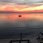 Betsy Rowe - @westies5117 - Instagram