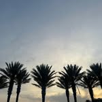 Betsy Rowe Womack - @betsywomack - Instagram